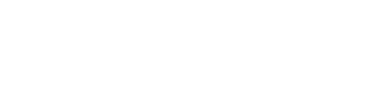 HG FERMIN